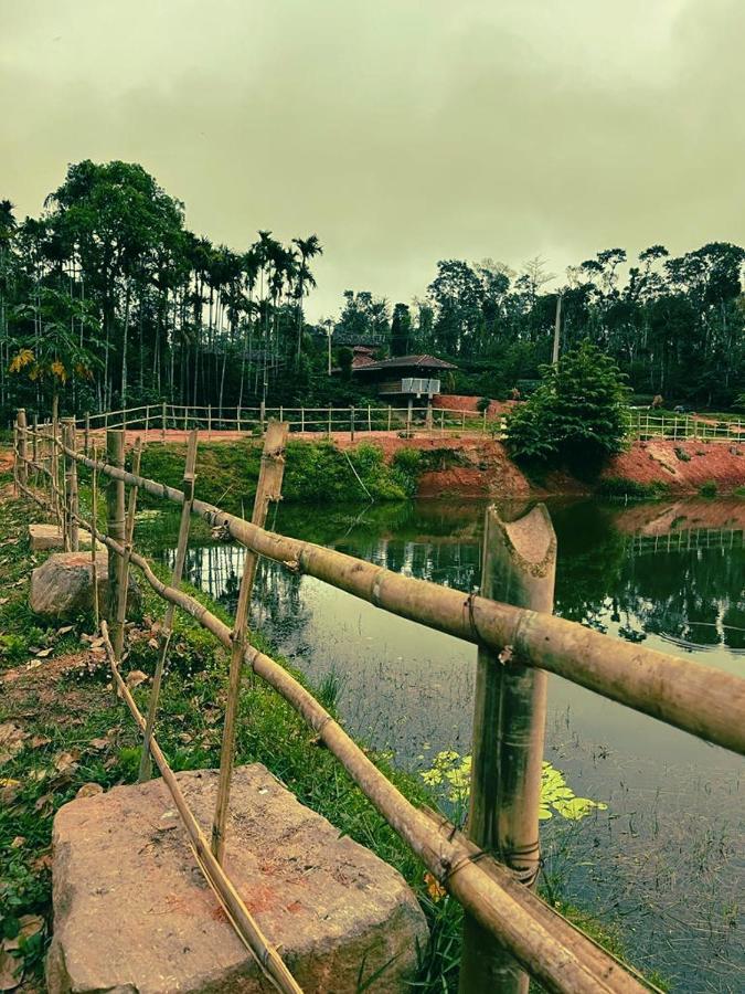 Agastya Lake View Coorg Madikeri Eksteriør billede