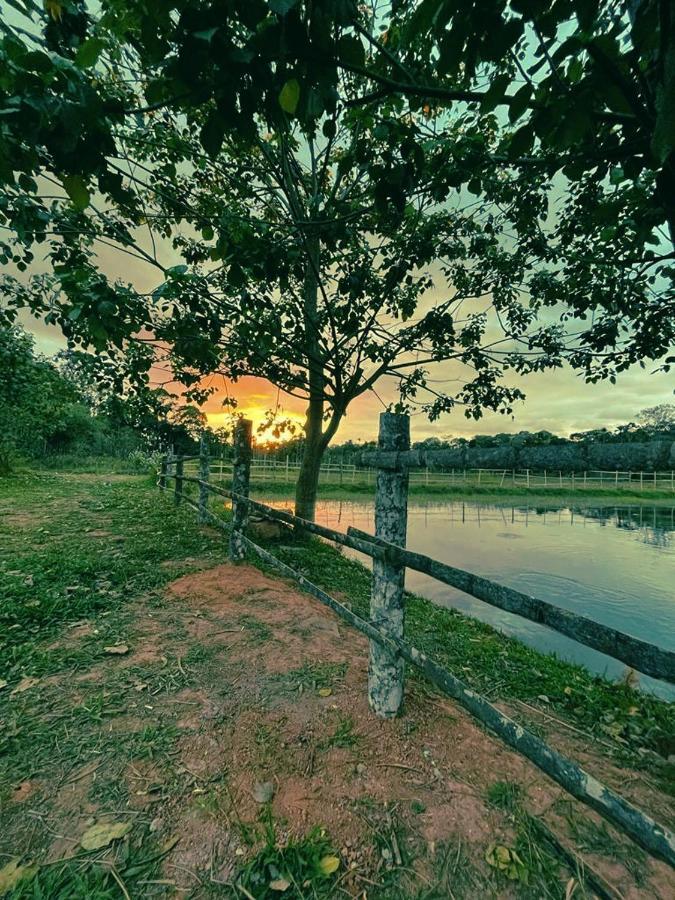Agastya Lake View Coorg Madikeri Eksteriør billede