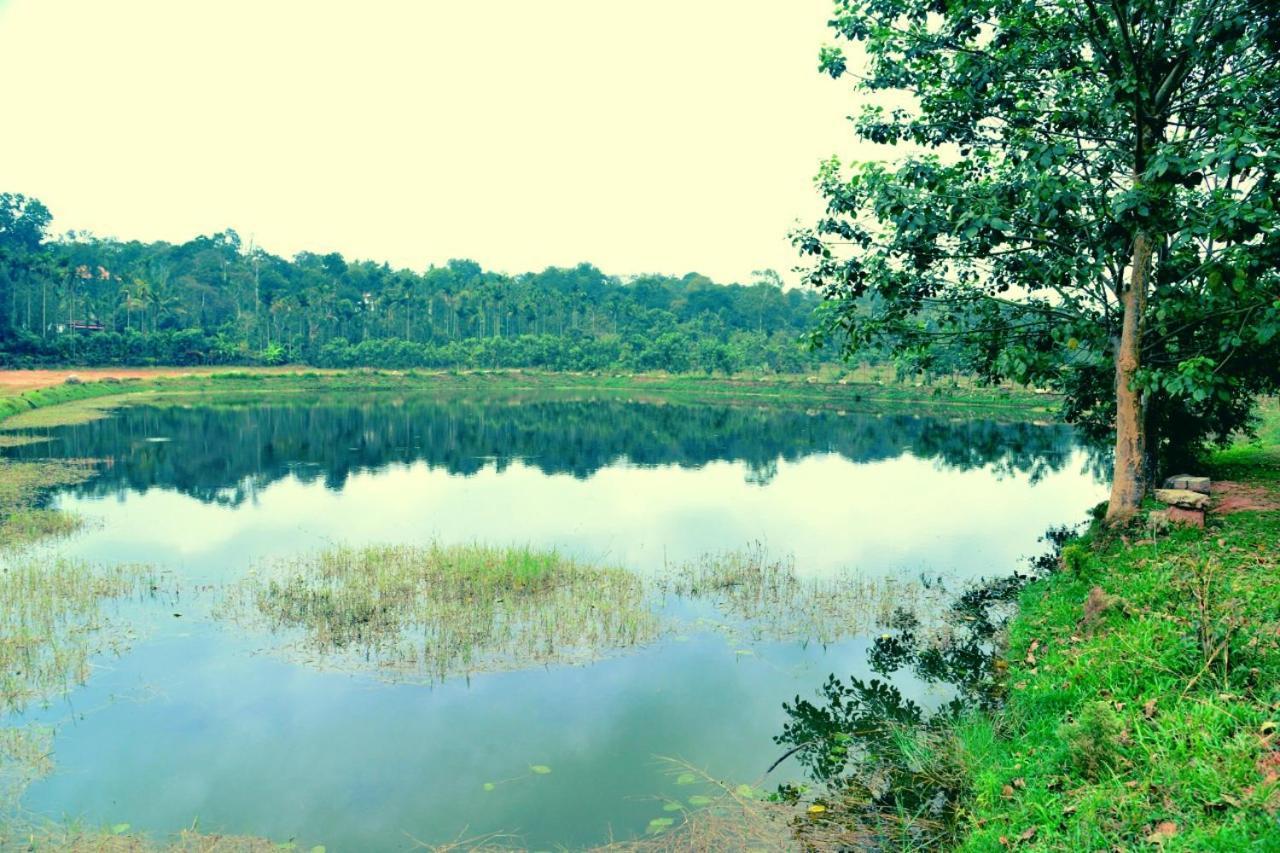 Agastya Lake View Coorg Madikeri Eksteriør billede